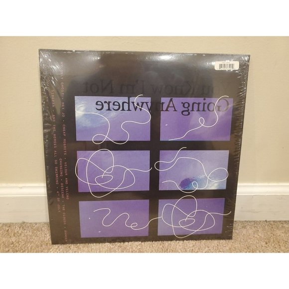 You Know I'm Not Going Anywhere by The Districts (Record, 2020) White Color Ver. - Picture 4 of 5